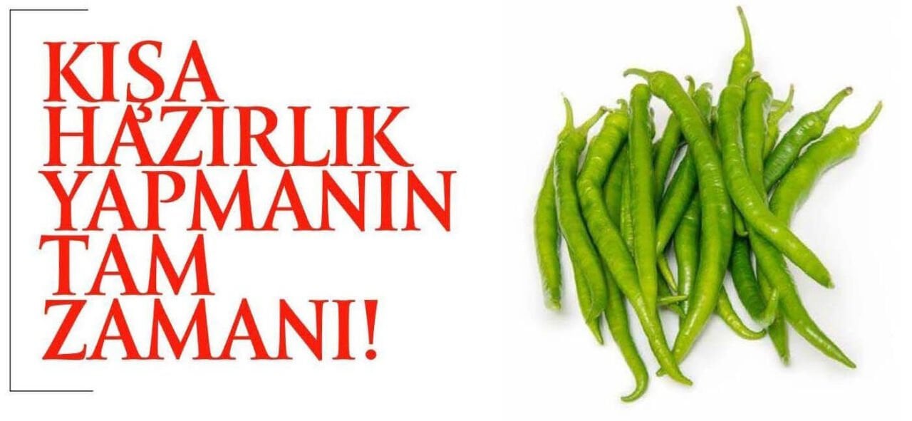 Kışa Hazırlık Yapmanın Tam Zamanı